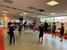 Image result for Vipers Thai/Kickboxing School