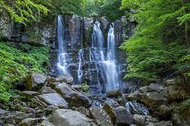 Image result for cascate del dardagna