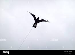 Image result for New Mills Bowls Club