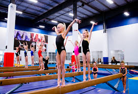 Image result for Aerodyne Gymnastics Club