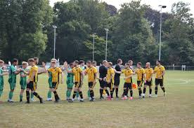 Image result for Sidmouth Town Association Football Club
