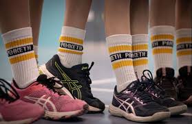 Image result for Medway Panthers Netball Club