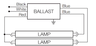 Image result for ◆to2qN8W1wA 　