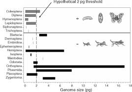 Image result for genome sizes