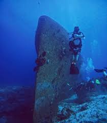 Image result for Stortford Divers