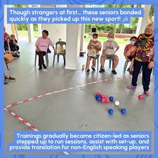 Image result for Well Being and Leisure Team (Boccia)