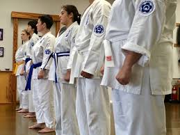 Image result for Aylesbury Vale Seido Karate
