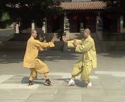 Image result for WUQI KUNG FU AND HEALTH SOCIETY