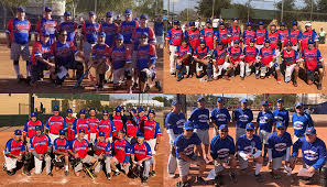 Image result for Sidewinders Baseball Club