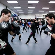 Image result for United Dojos Kickboxing