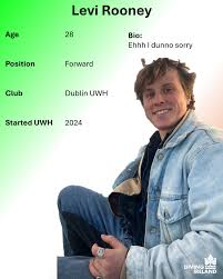 Image result for Dublin Underwater Hockey Team