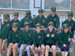 Image result for Three Bridges Cricket Club