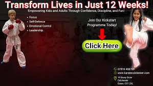 Image result for Colchester Wado Ryu Karate