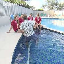 Image result for Gosport Dolphins Swimming Club