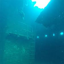 Image result for Maverick Divers