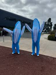 Image result for Selby Tiger Sharks Swimming Club