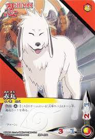 「犬塚キバ」の画像検索結果