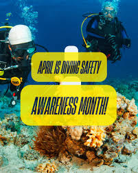 Image result for S England Dive Devil