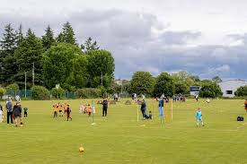 Image result for Ardmore Cricket & Football Club