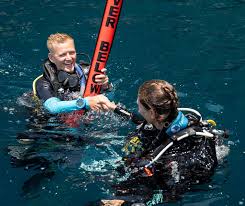Image result for Divemaster Scuba