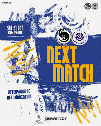 Image result for Ottershaw Girls Fc