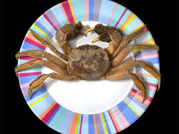 Image result for Eriocheir sinensis