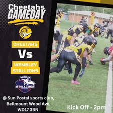 Image result for Chiltern Cheetahs American Football Club