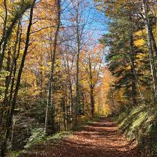 Image result for vallorbe tehron