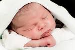 Newborn Photography in