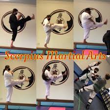 Image result for Scorpion Martial Arts Academy