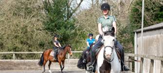 Image result for Shey Copse Riding Centre