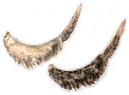 Attēlu rezultāti vaicājumam “Agonopterix ciliella imago”