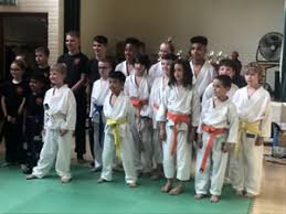 Image result for Epsom & Ewell Karate Club