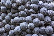 Attēlu rezultāti vaicājumam “Badhamia affinis”