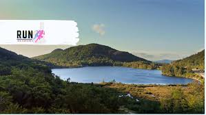 Image result for Telford Harriers­ Running Club­