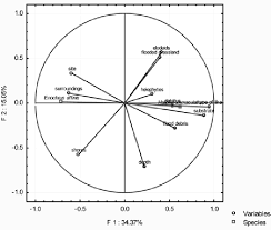 Attēlu rezultāti vaicājumam “Enochrus affinis”