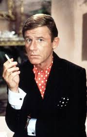 Image result for Maclaren Twin Triumph Heidi Klum