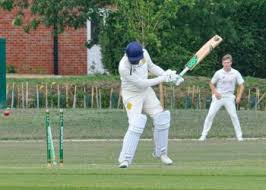 Image result for Theale and Tilehurst Cricket Club