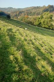 Image result for example