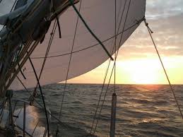 Image result for London Sailing Project