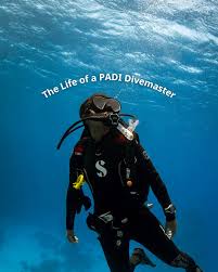 Image result for Divemaster Scuba