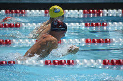 Image result for Biggleswade Swimming Club