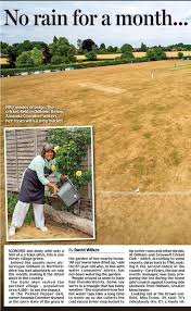 Image result for Odiham & Greywell Cricket Club