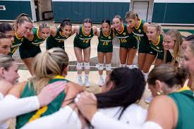 Image result for Concordia Netball Club