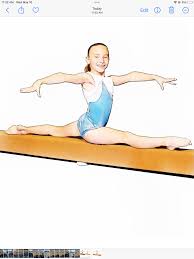 Image result for Pyramid Gymnastics Club