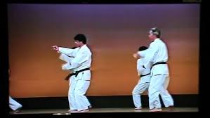 Image result for Ryuko Dojo