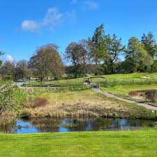 Image result for Abernethy Golf Club