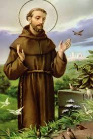 Image result for foto são francisco