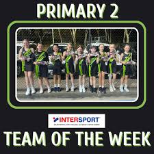 Image result for Zodiac Netball Club