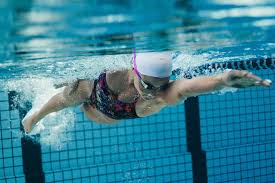 Image result for Kingfisher Badminton Club